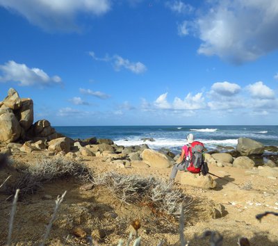 sardegna capo pecora