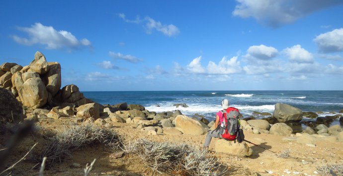 sardegna capo pecora