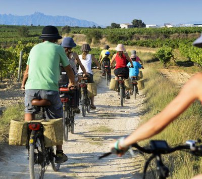 penedes bike wine