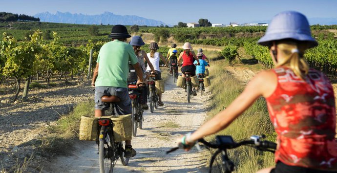 penedes bike wine