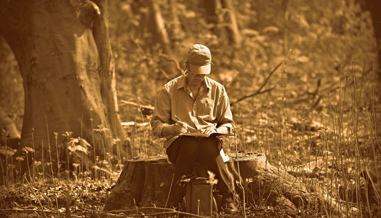 persona nel bosco che disegna