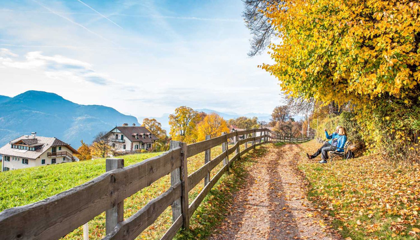 alto adige castagni masi