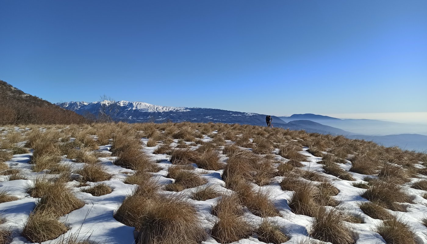 pizzocolo panorama baldo