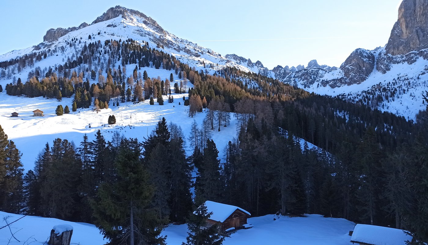 funes gampen alm panorama neve