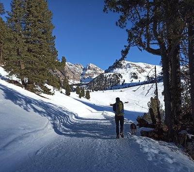 xavi nebbia funes gampen alm neve panorama