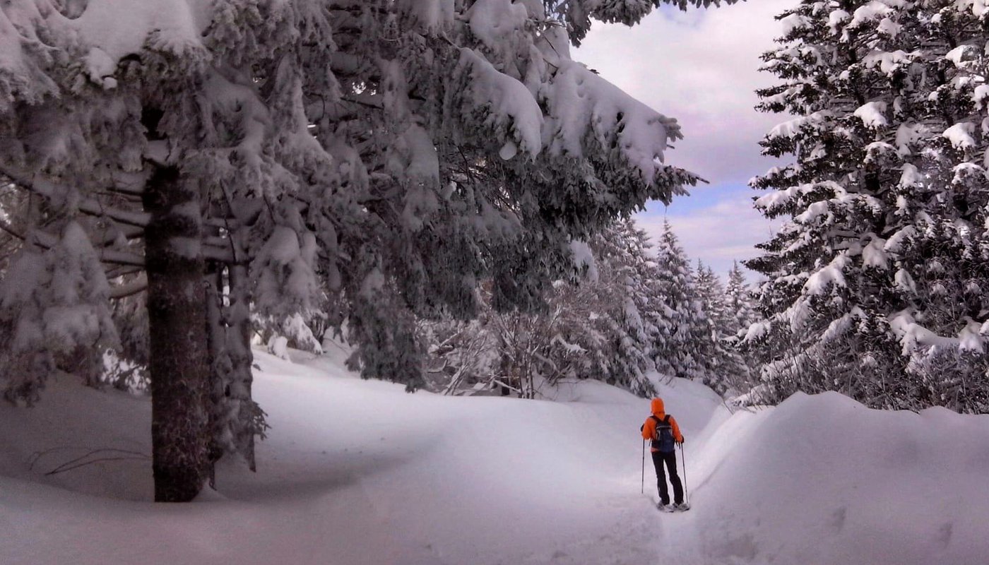 Neve Bosco