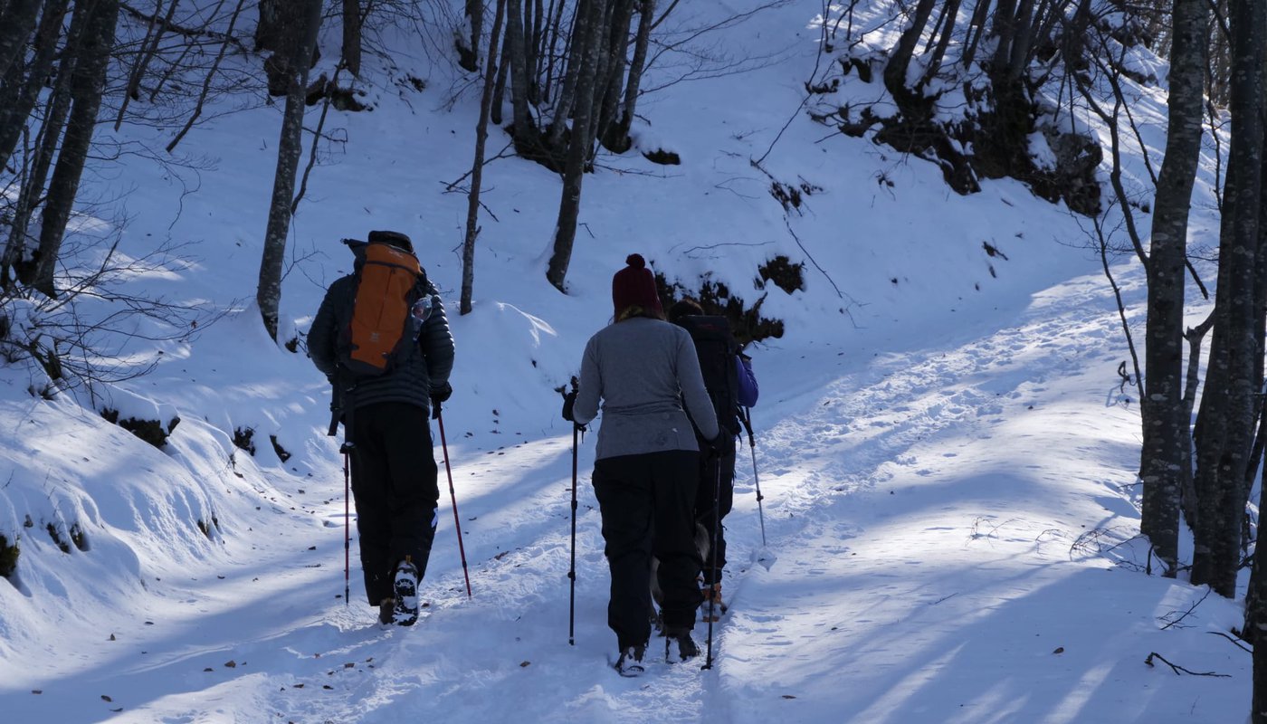 persone neve bosco