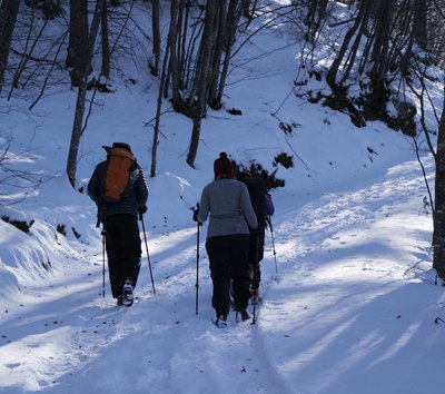 persone neve bosco