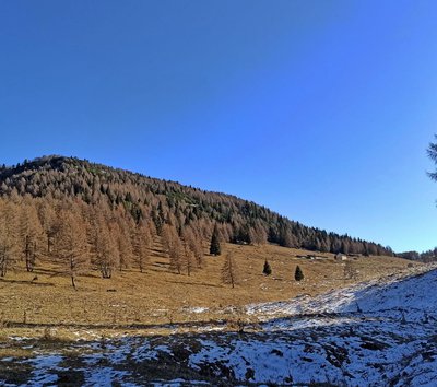 Pasubio monte testo bocchetta foxi