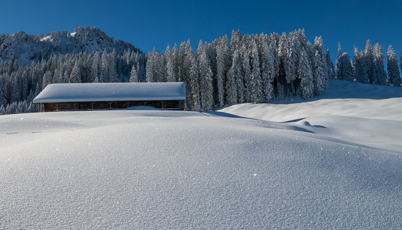 neve malga bosco