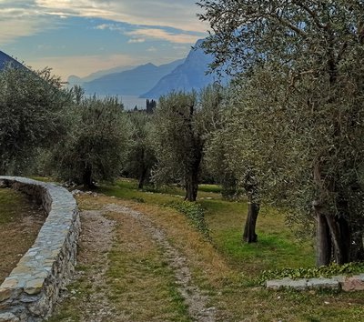 Torbole Nago uliveti