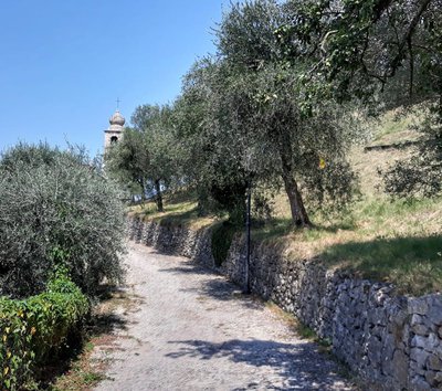 garda sentiero olivo