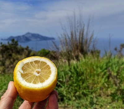 costiera limone capri panorama