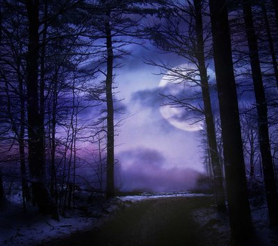 moonligh forest luna piena