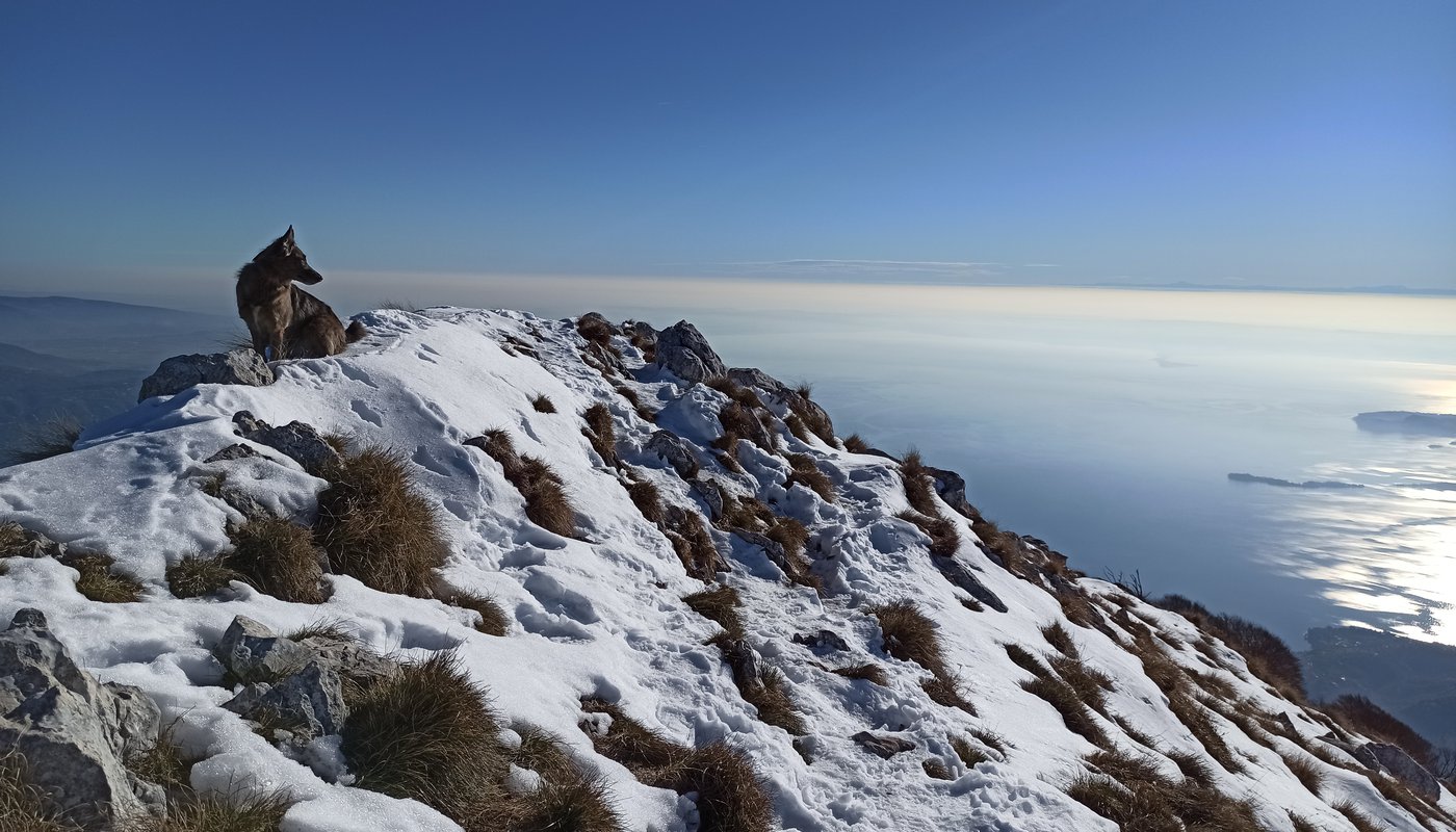 nebbia panorama pizzocolo