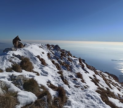 nebbia panorama pizzocolo