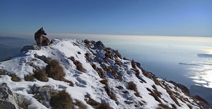 nebbia panorama pizzocolo