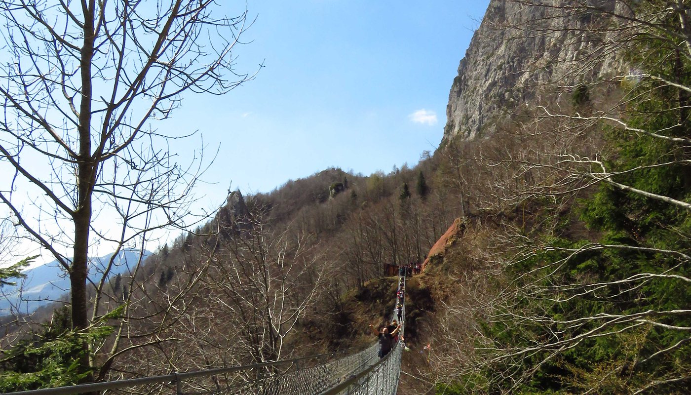 Ponte tibetano delle Piccole Dolomiti