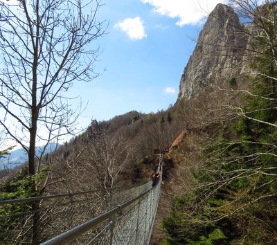 Ponte tibetano delle Piccole Dolomiti